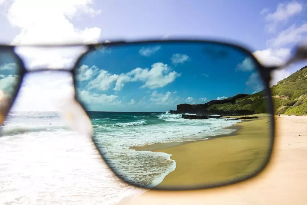 Polarized Lenses