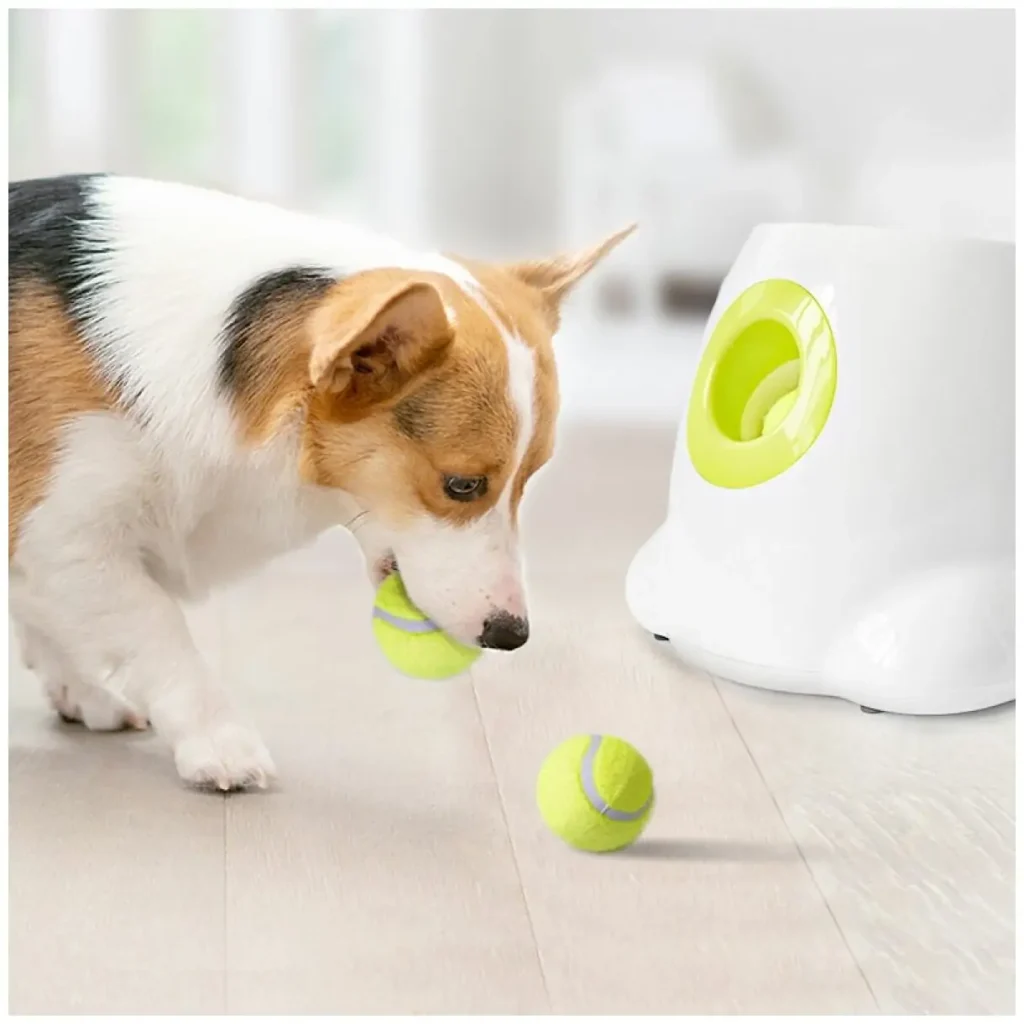 Automatic Ball Launcher