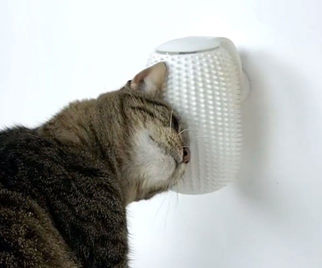 Groomatic Automatic Cat Brush