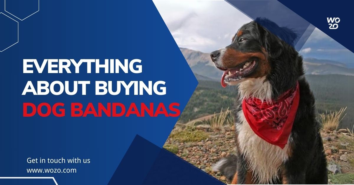 Everything You Need to Know About Buying Dog Bandanas